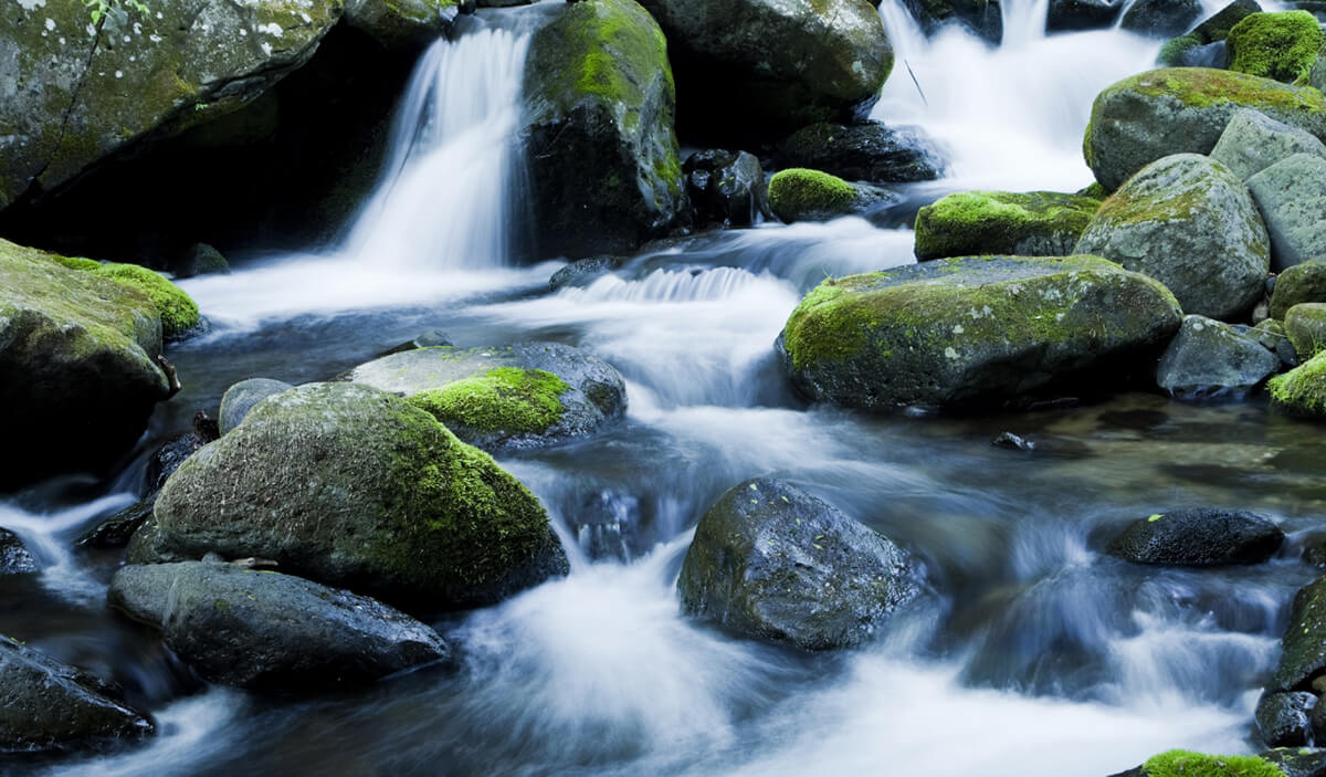 豊かな自然に磨かれた清流を仕込み水として使用。